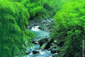 [“美竹海”安吉天目山峡谷皮筏漂流、“江南最大瀑布群”-藏龙百瀑、竹海银坑纯玩2日游] 