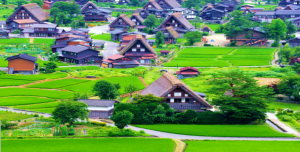 [日本本州 镰仓▪京都▪奈良 双自由温泉7日]